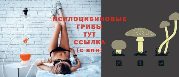 СК Верея