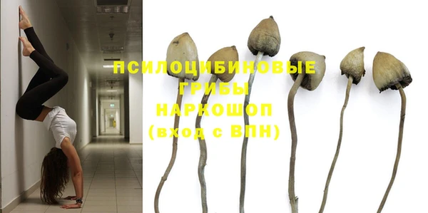 СК Верея