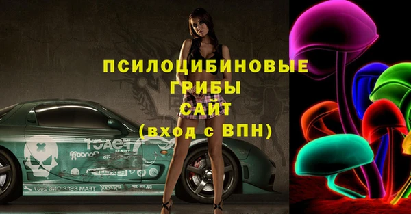 Альфа ПВП Вяземский