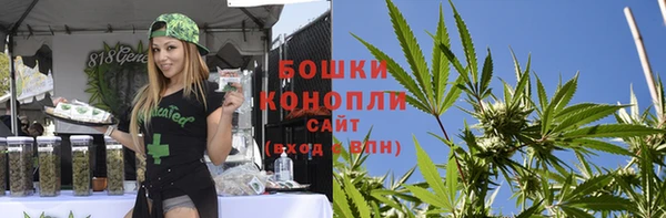 прущие крисы Верхний Тагил